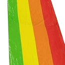 Escorregador com Jato de Água – Diversão Refrescante para os Dias de Calor!